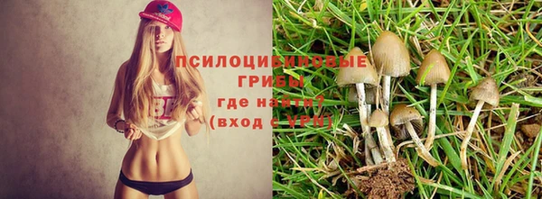 герыч Алзамай