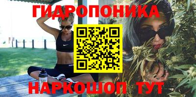 твердый Пушкино