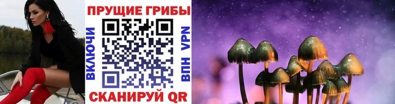 Галлюциногенные грибы MAGIC MUSHROOMS  Серов 