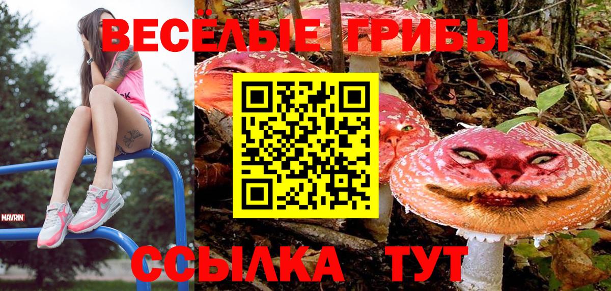 Серов  дарнет шоп  Вход с VPN  Псилоцибиновые грибы мухоморы  Псилоцибиновые грибы мухоморы 
